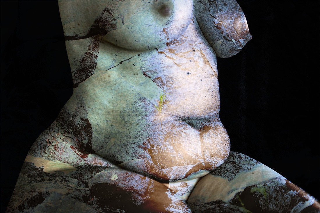 Corpus Naturae