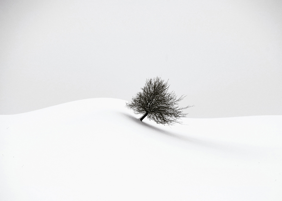 white winter