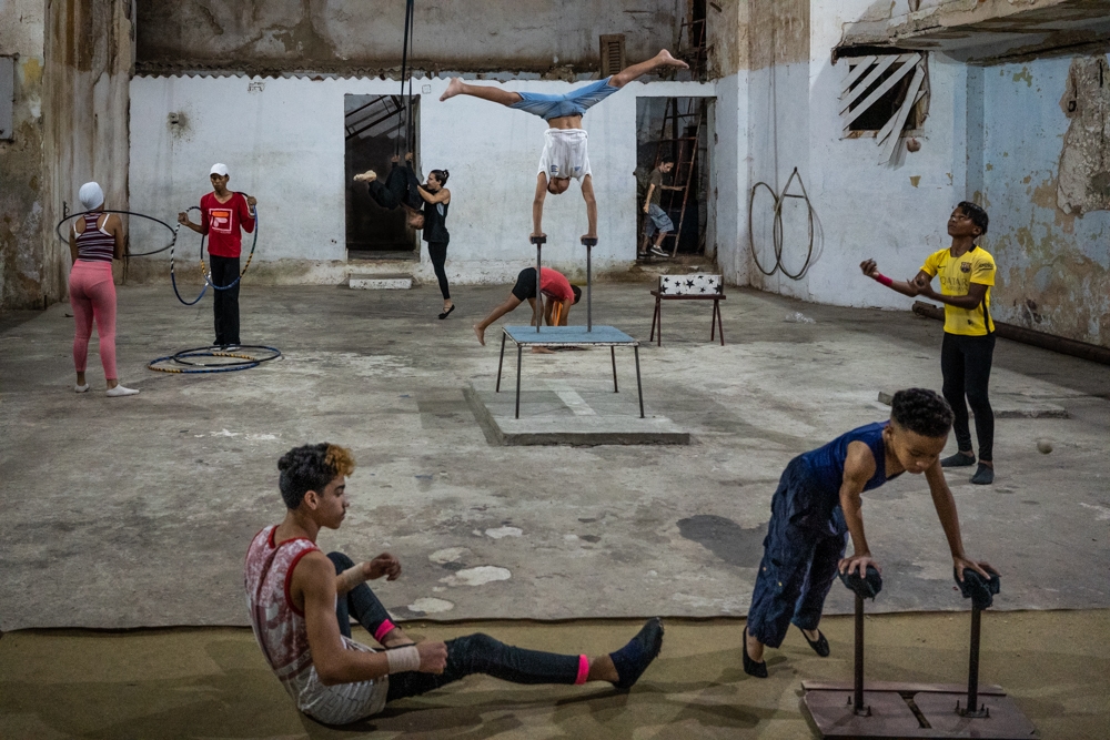The circus of life