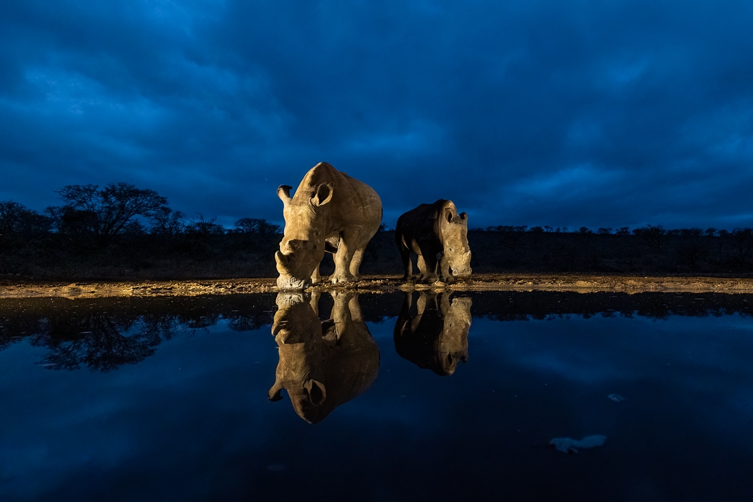 Welcome to rhinoworld