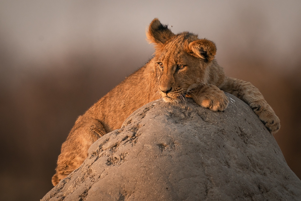 Deep in thought