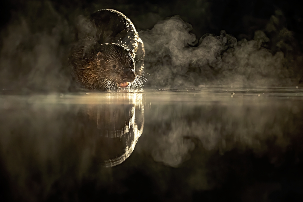 Play with light
