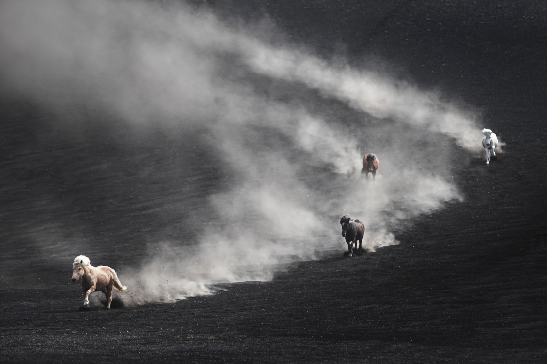 Black desert