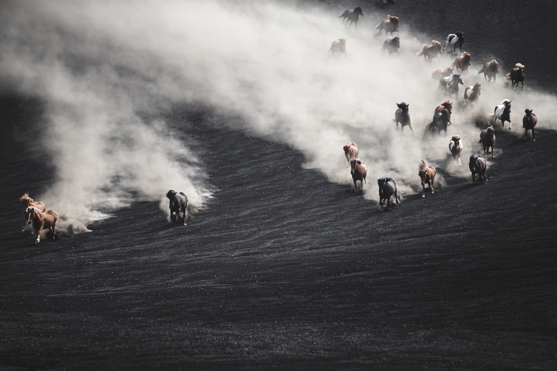 Black desert