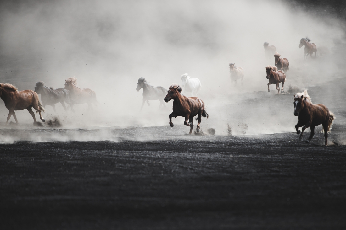 Black desert