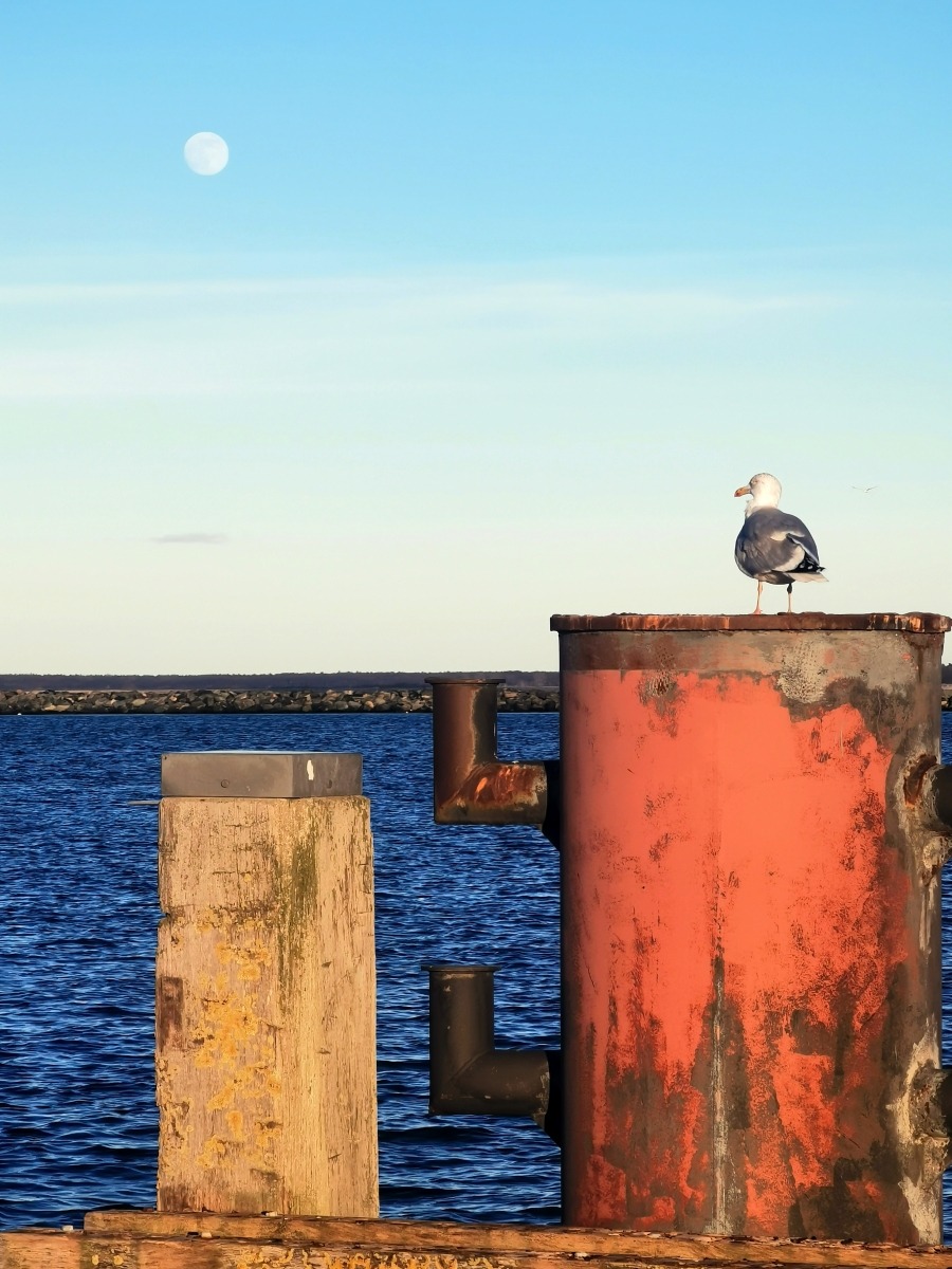 ~ Longing ~