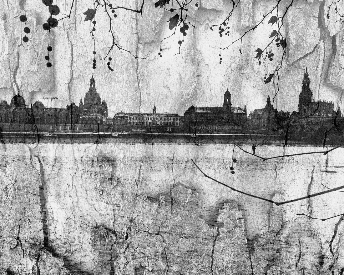 Winter view of Dresden's Old Town