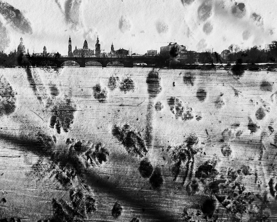 Winter view of Dresden's Old Town