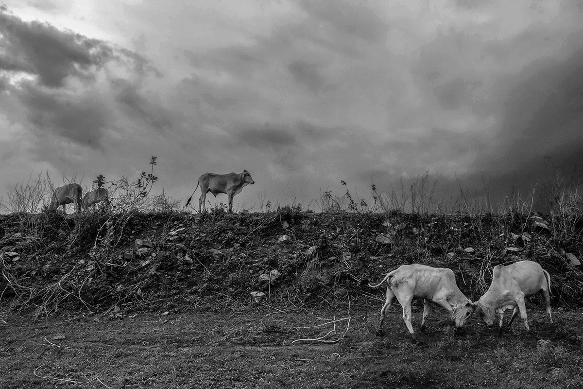 Binary – Duality of Being