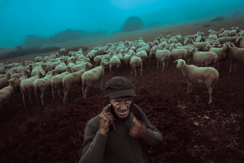 The loneliness of the mountain's shepherd.