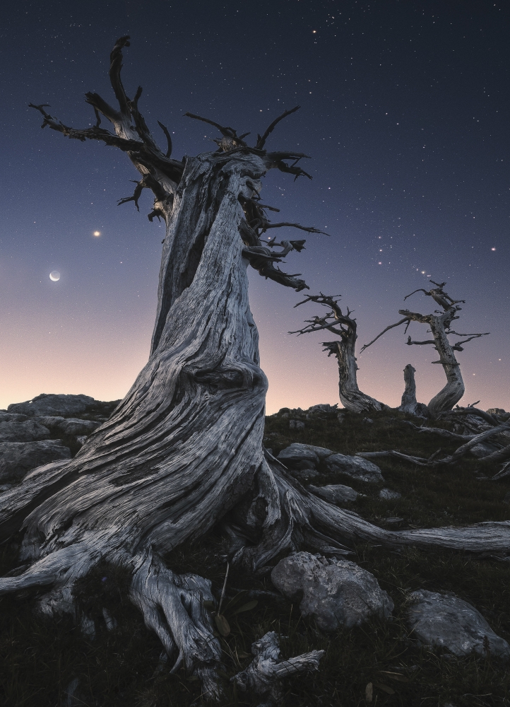 Pollino: A Look Into The Past