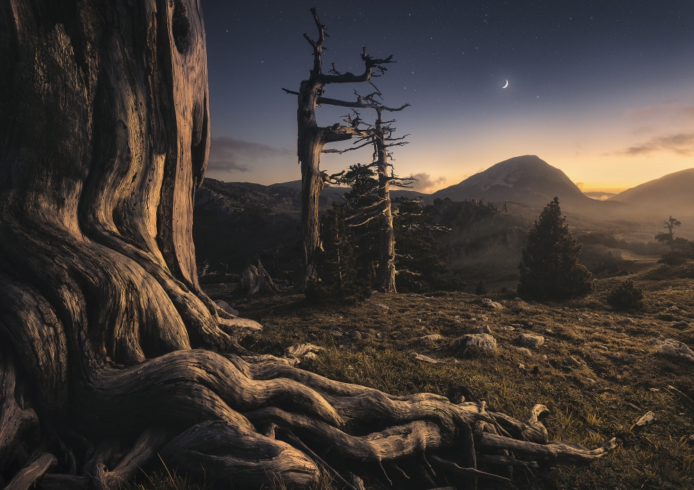 Pollino: A Look Into The Past