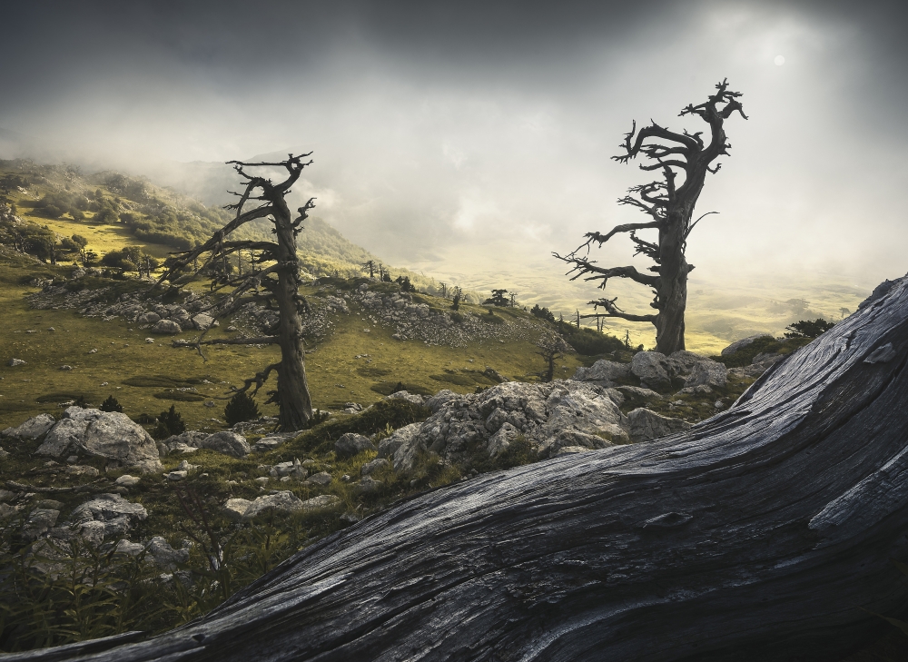 Pollino: A Look Into The Past