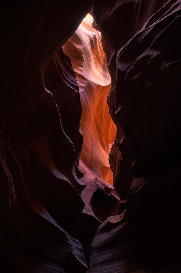 Treasures of the Antelope