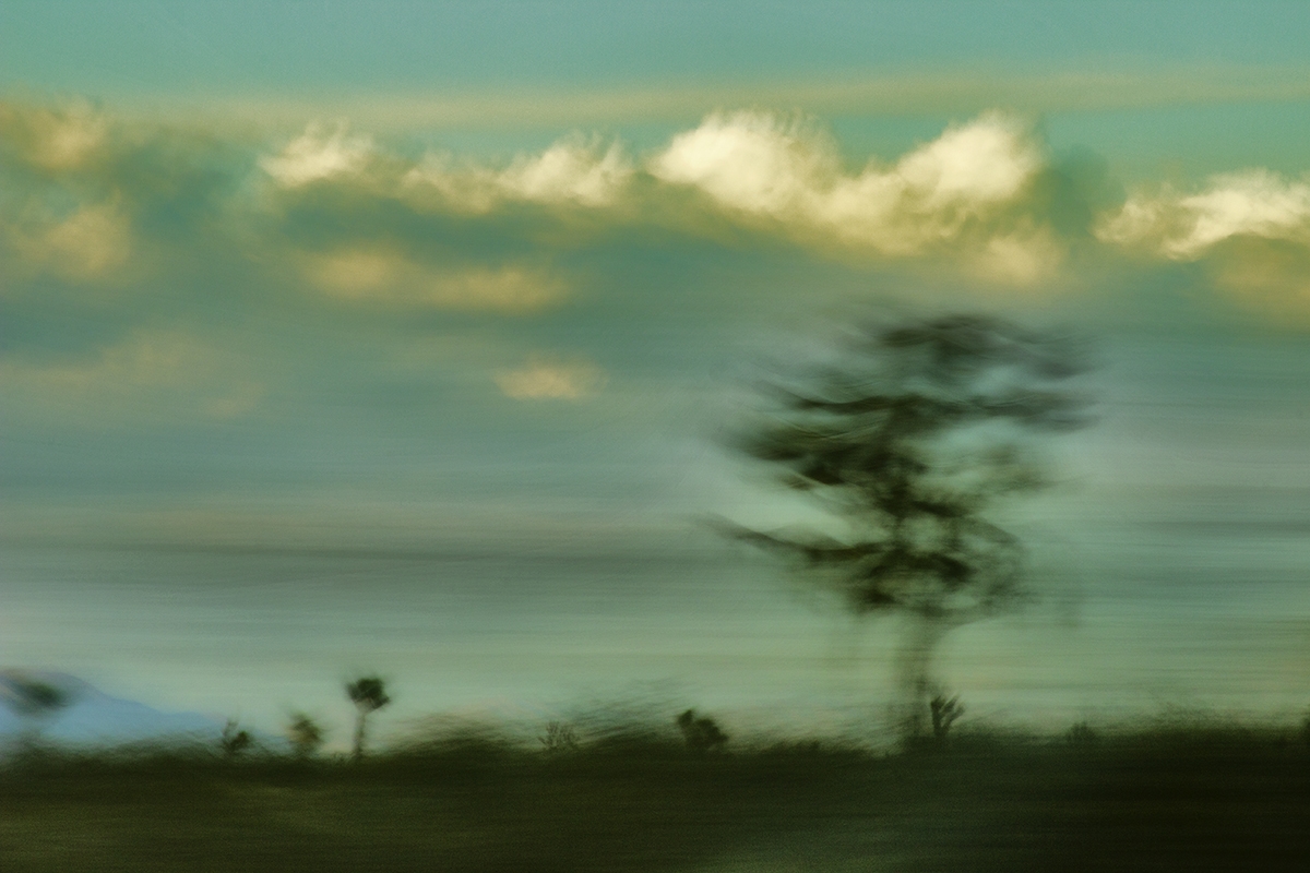 Kinetic Ambiguity Project, Land Series, Vistas Segment, Chapter One