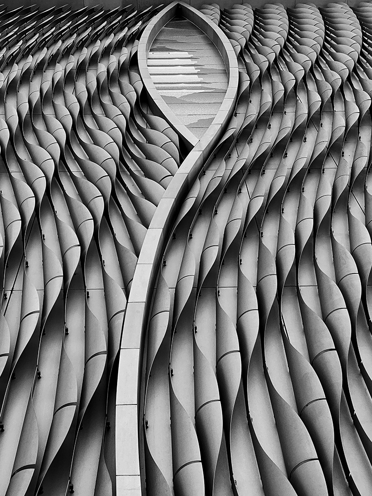 Leaf on the wall
