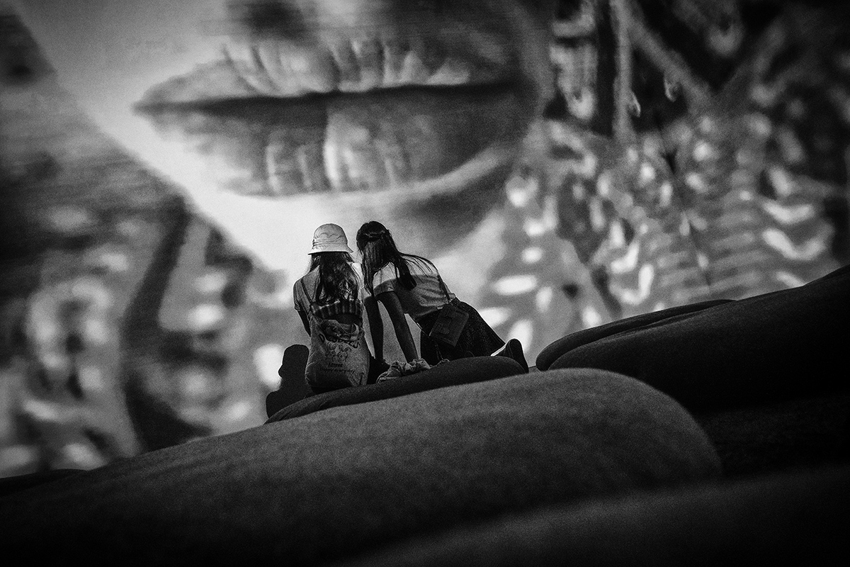 Silent Observers 