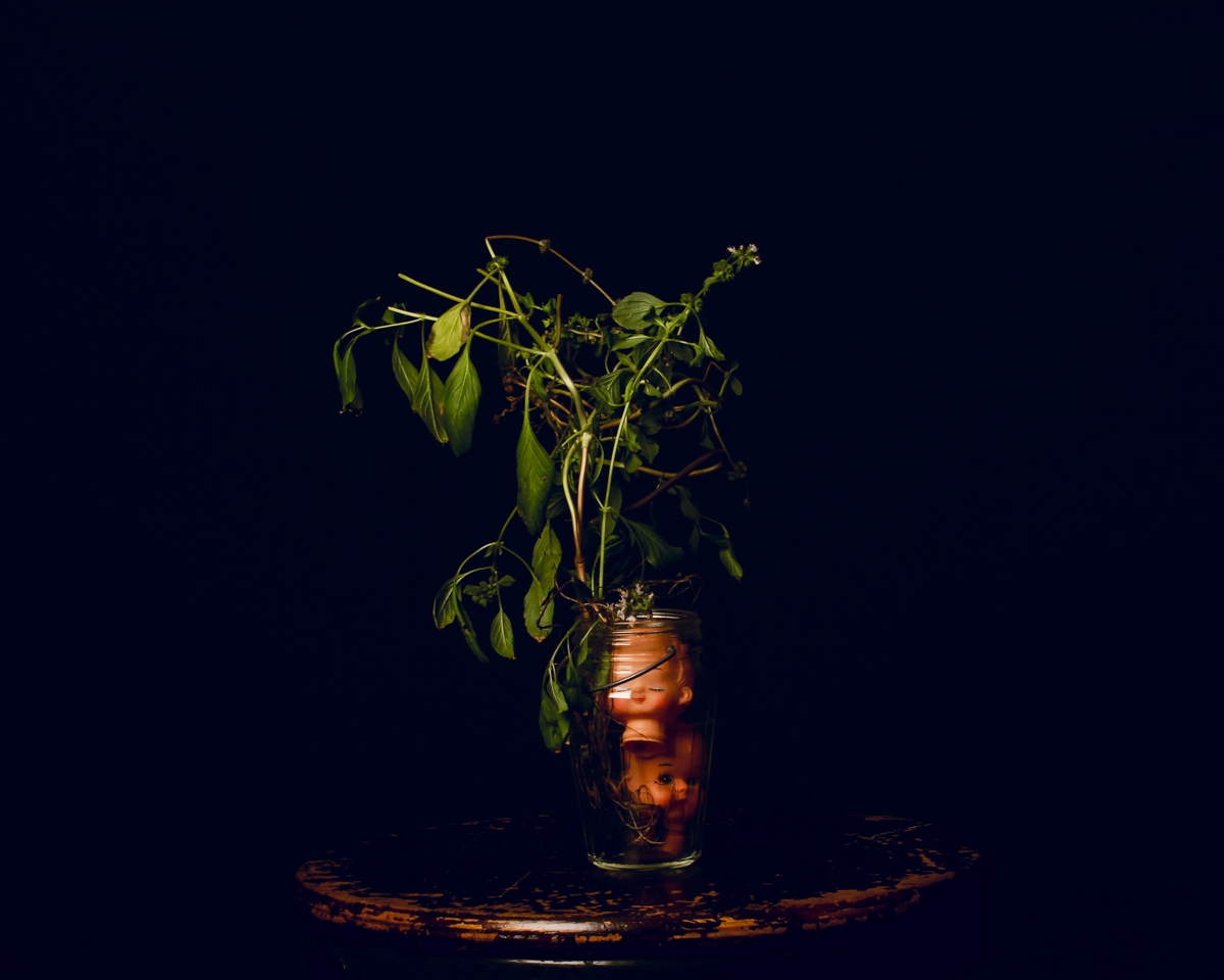 Roots
