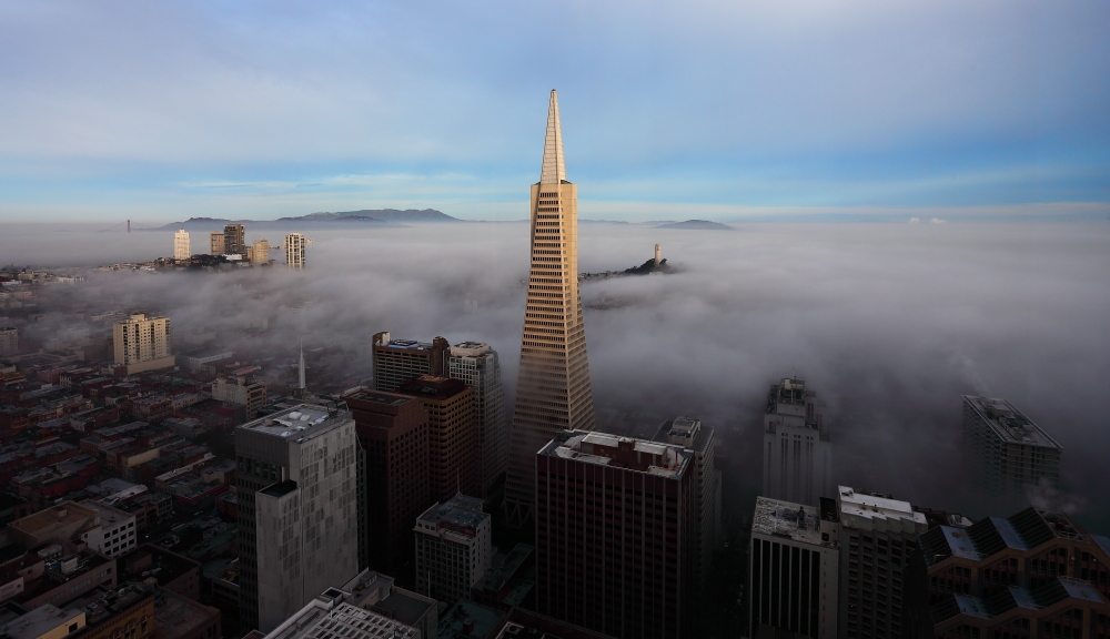 Landscapes in cities
