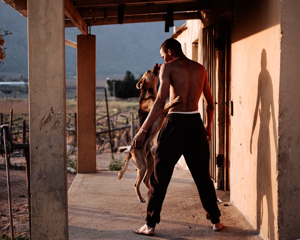 The Dogs of De Doorns, and Their People