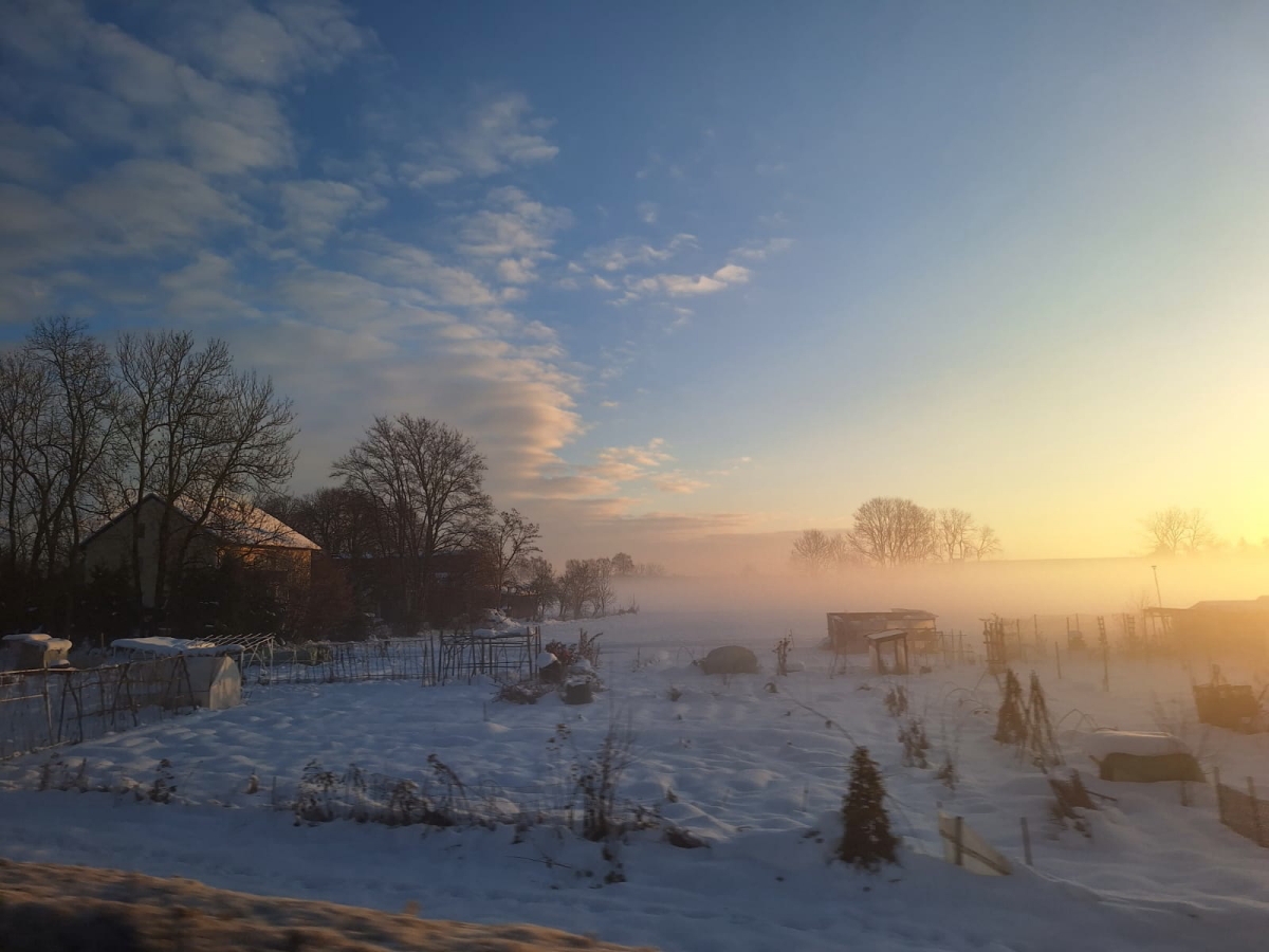 Warm winter