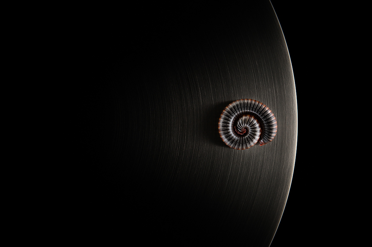 When nature meets technics - A macroworld beyond everyday experience
