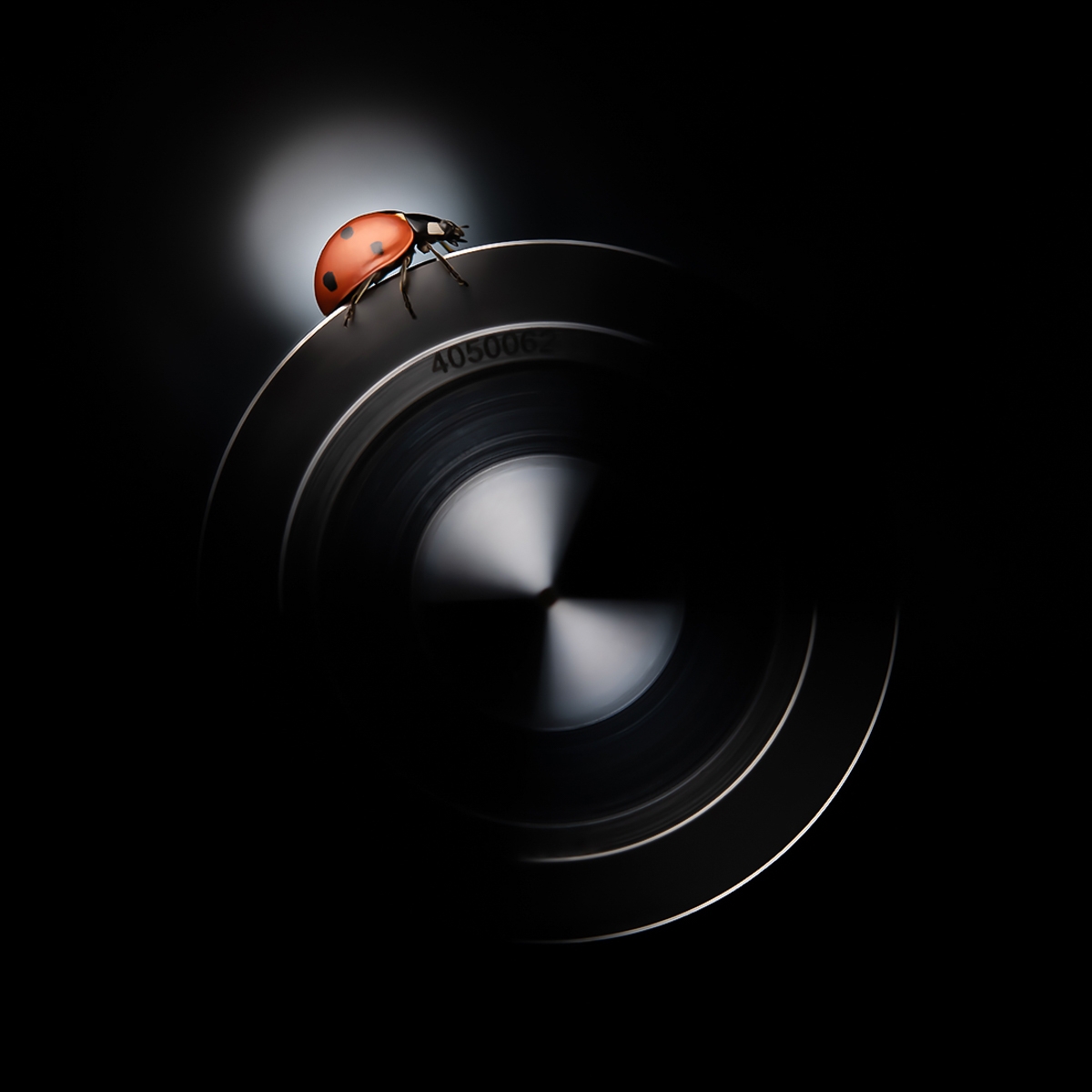 When nature meets technics - A macroworld beyond everyday experience