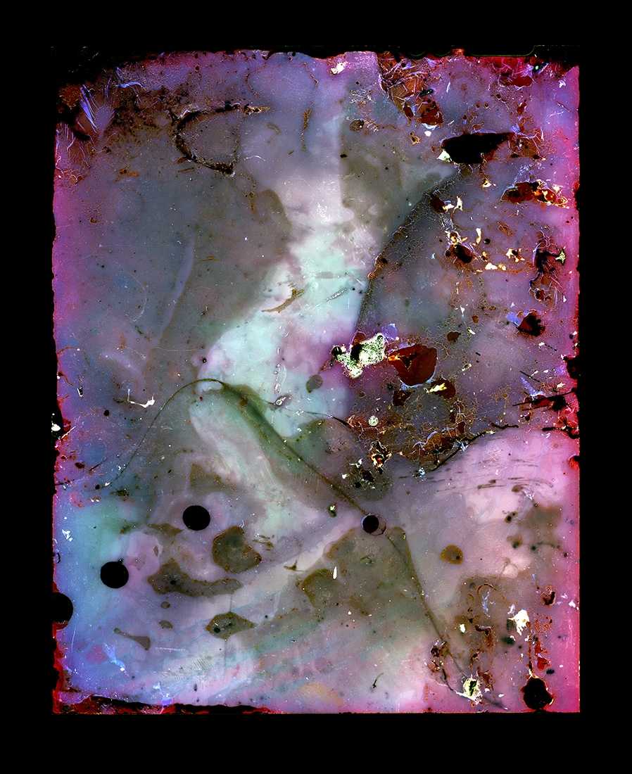 Bacillus Swarm #1