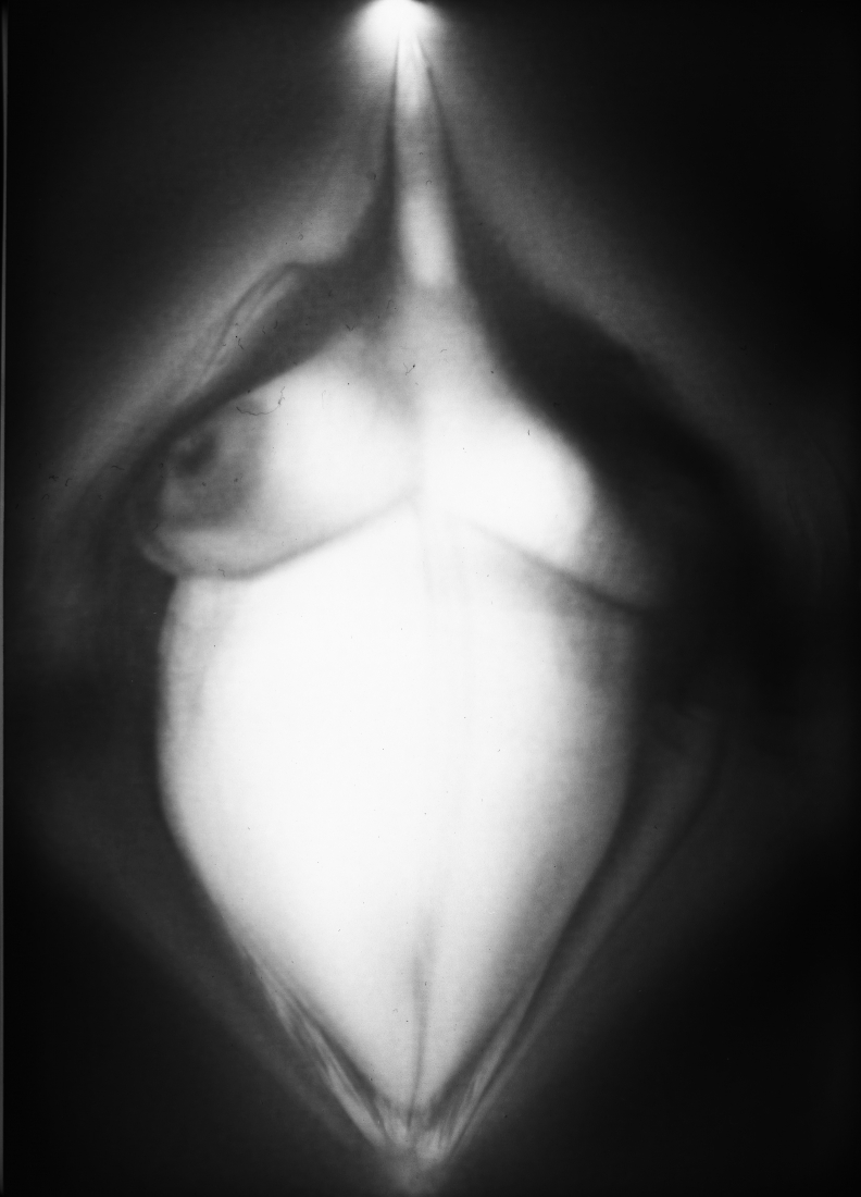 Camera Intima