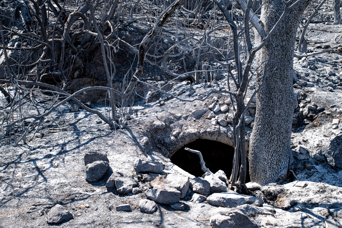 The villages that emerged from the ashes