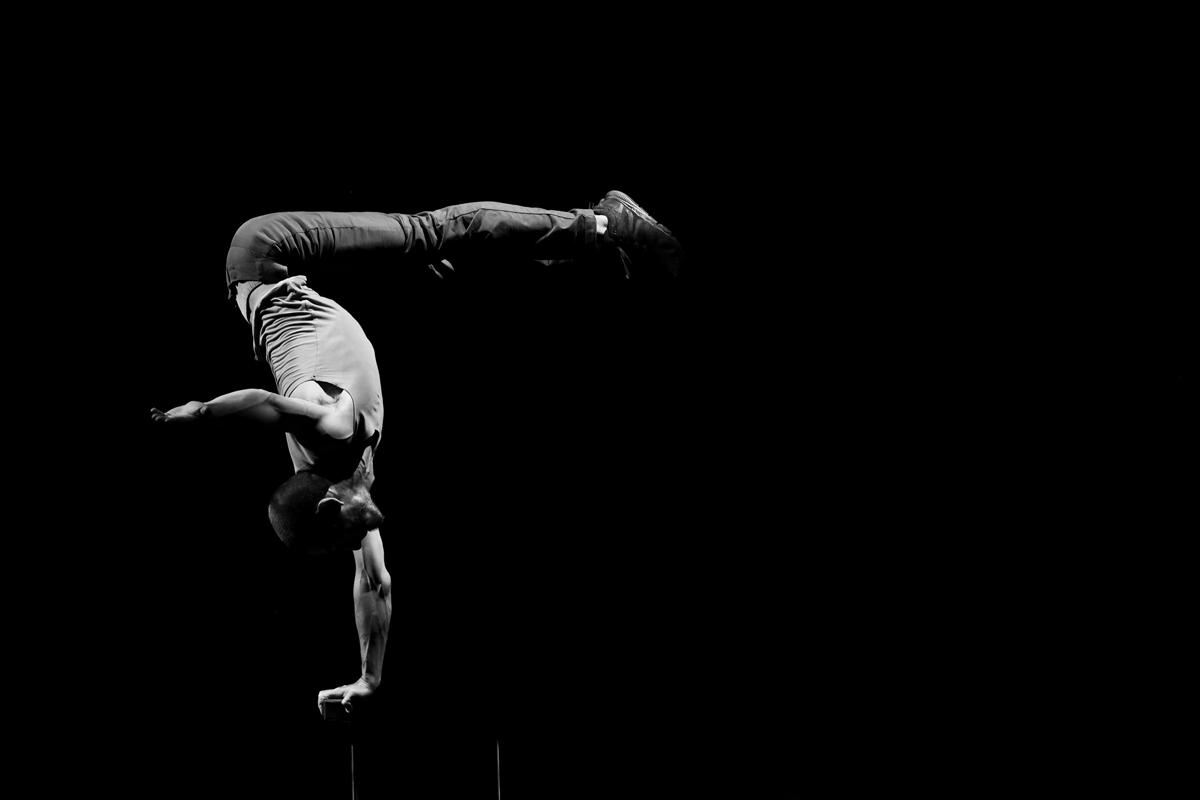 The Dark Side of Circus