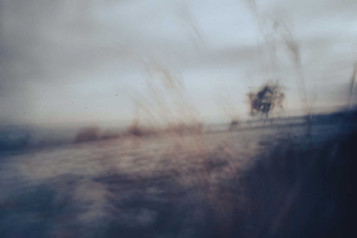 A Letter Written in the Shadows