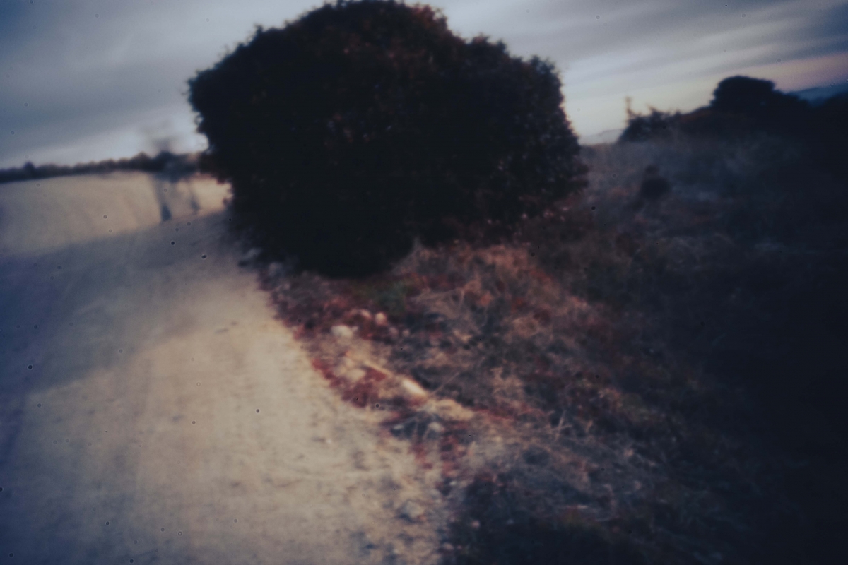 A Letter Written in the Shadows