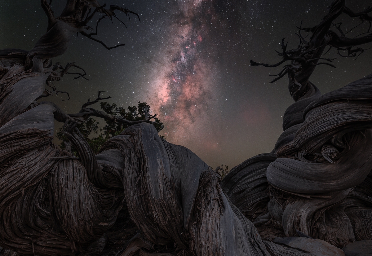 World Night Sky