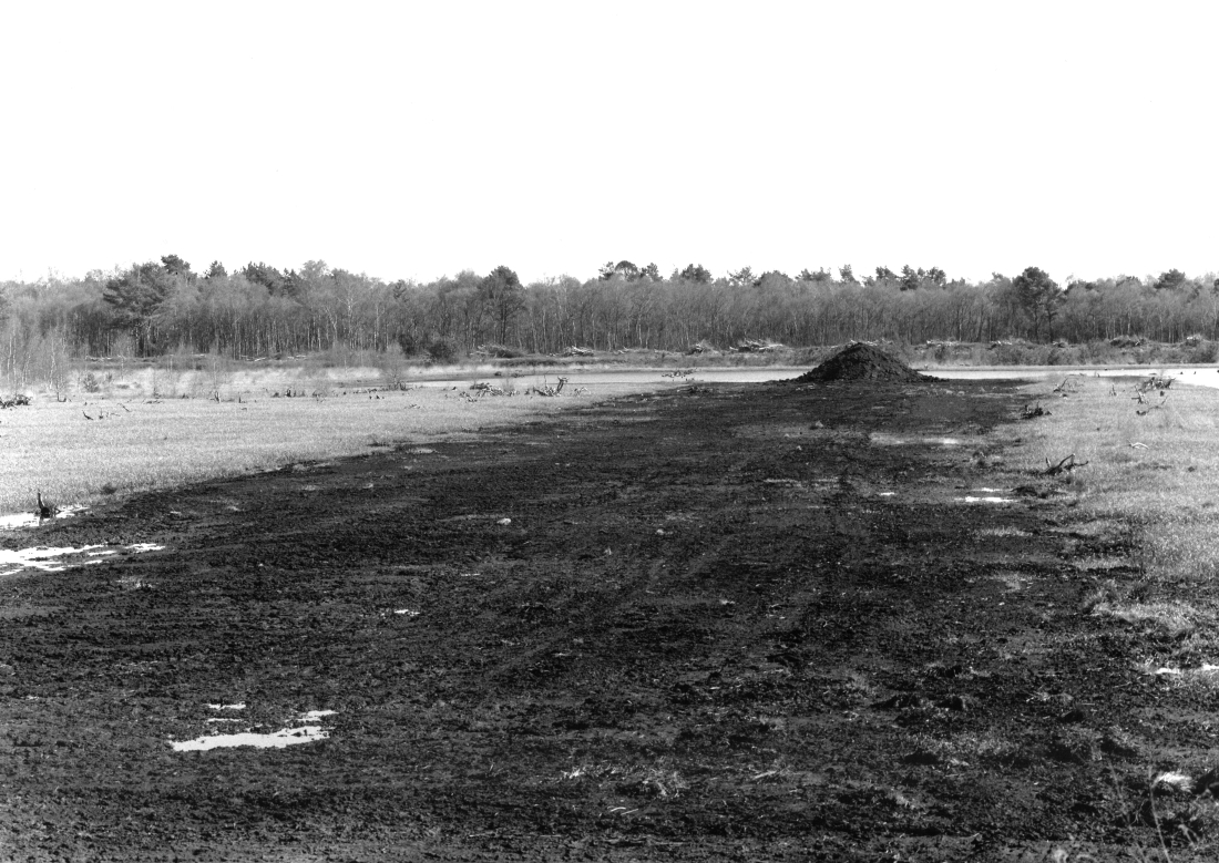Death of peatland