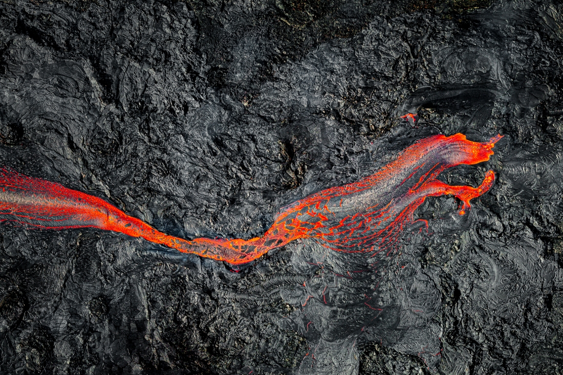 Fire Dragon