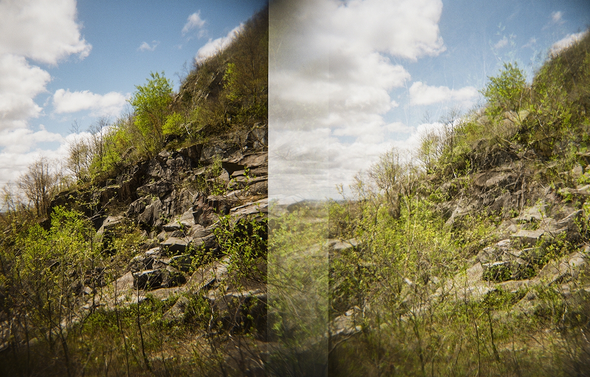 Nature Broken, Nature Healed