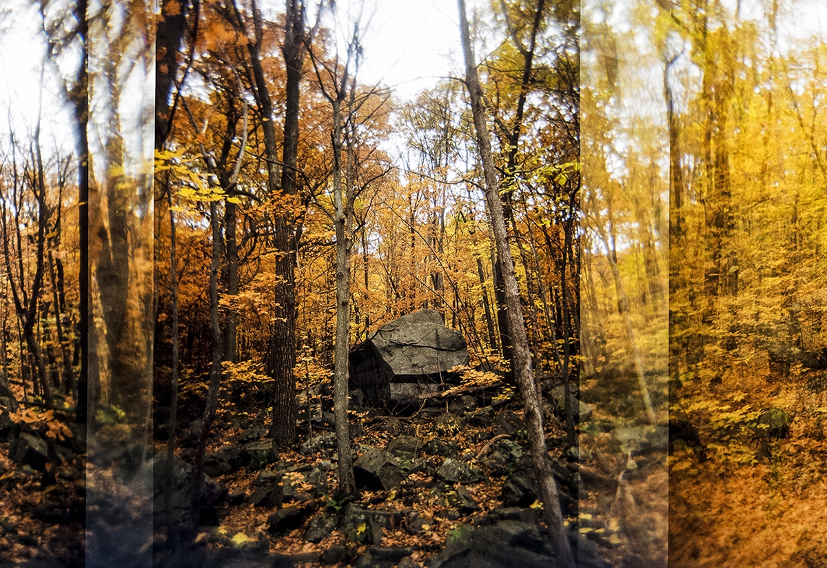 Nature Broken, Nature Healed