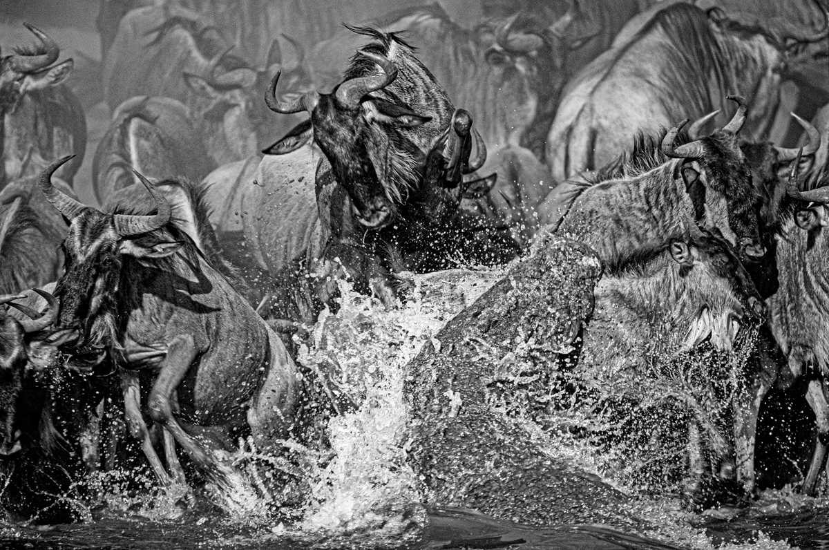 The Great Migration