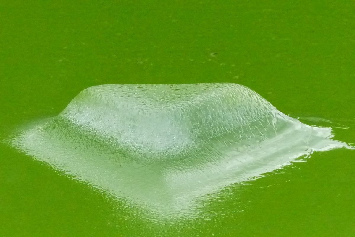 La magie, de la glace !