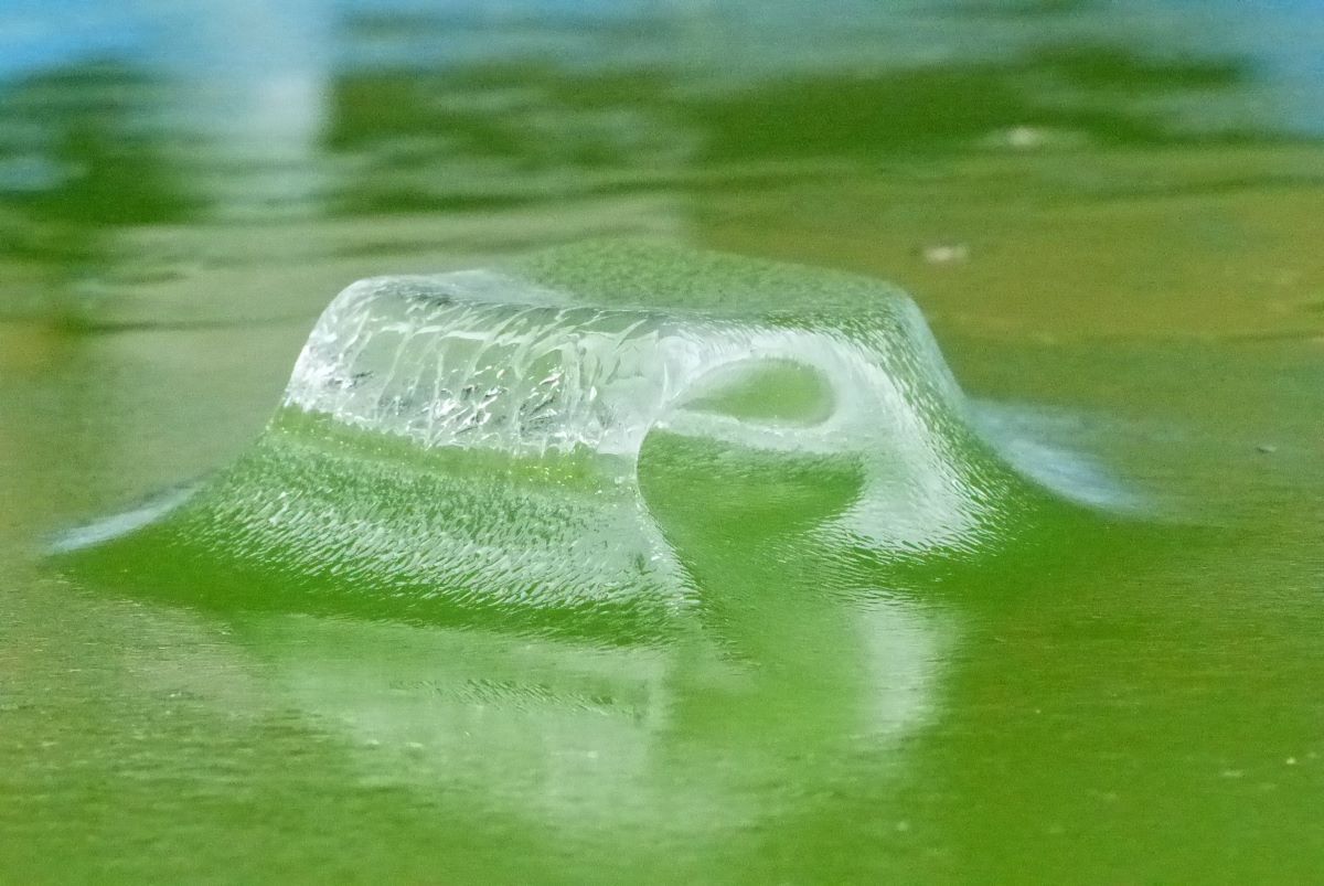 La magie, de la glace !