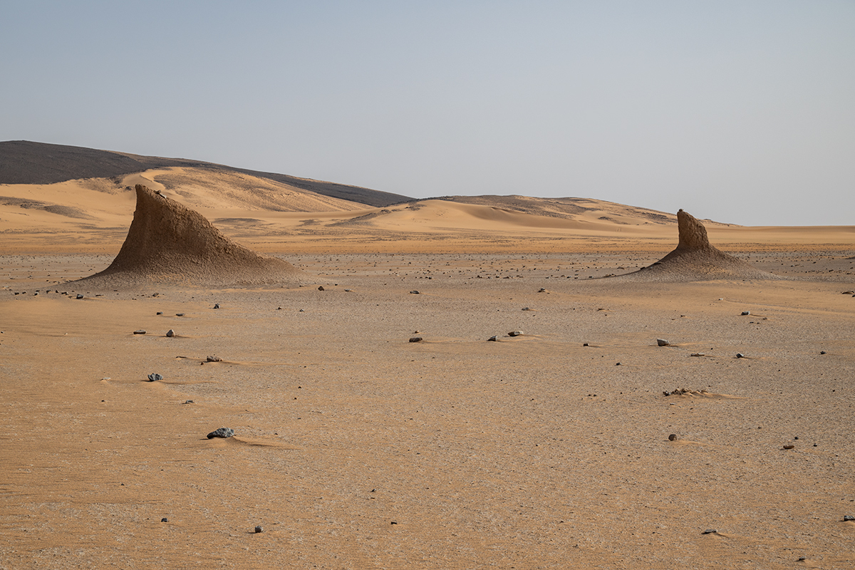 Impressions of the desert in Algeria