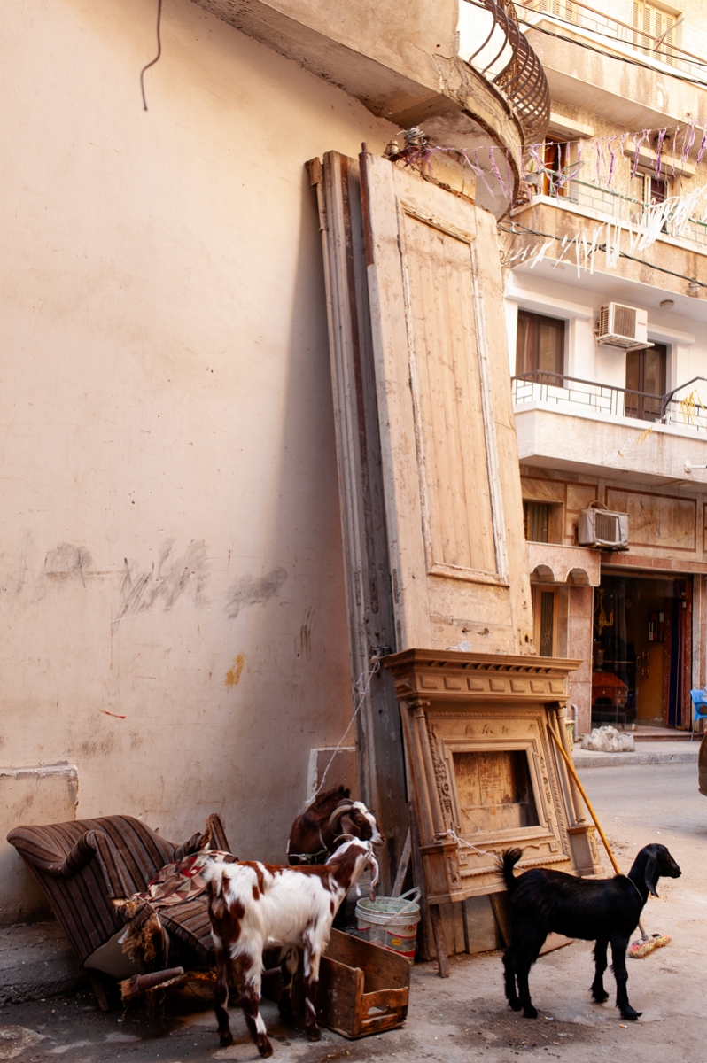 Chairs of Egypt