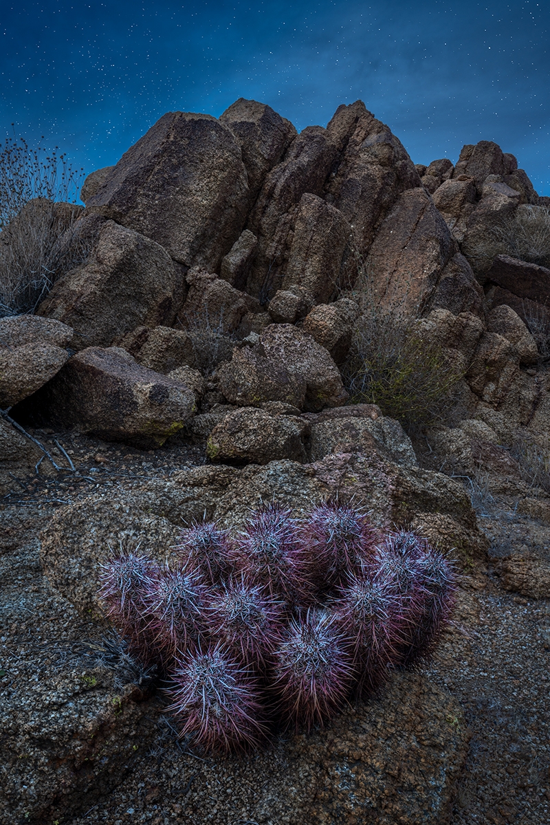 Desert Nightfall