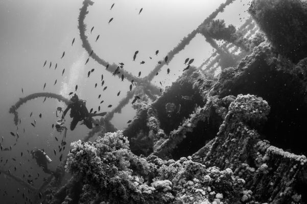 At the wreck