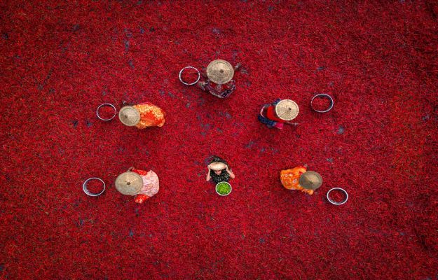 Red Chilli Drying