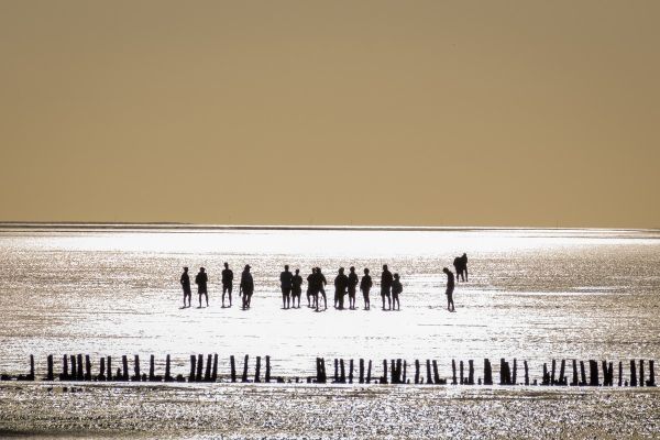 Low tide stroll
