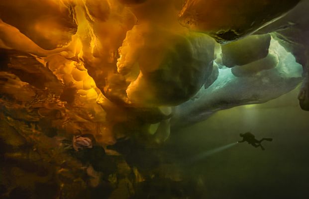 Under sea ice