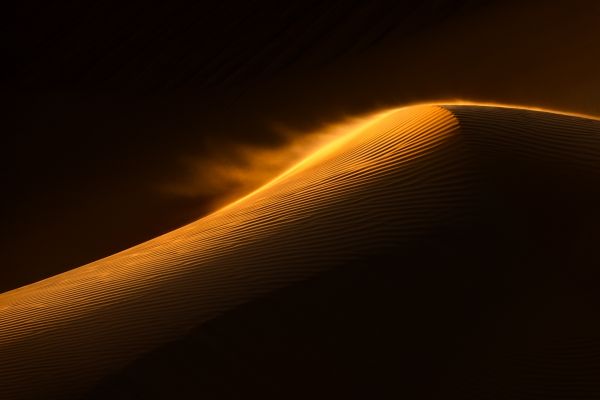 The Dune