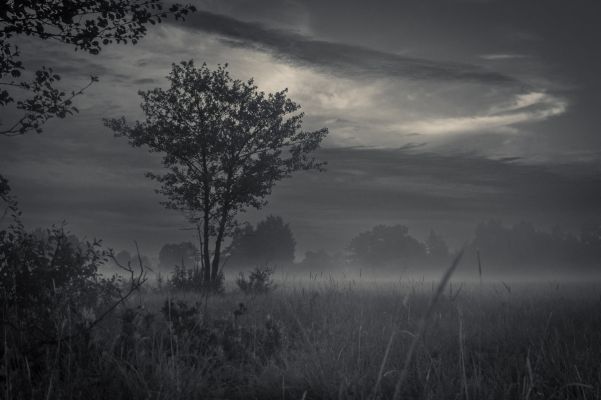 Dark fog